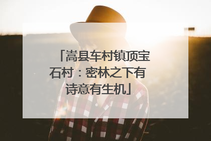 嵩县车村镇顶宝石村：密林之下有诗意有生机