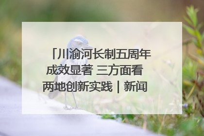 川渝河长制五周年成效显著 三方面看两地创新实践｜新闻发布最前线
