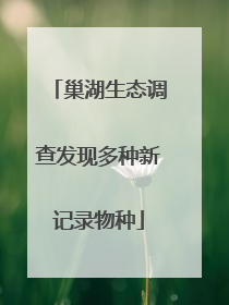 巢湖生态调查发现多种新记录物种