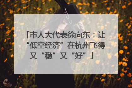 市人大代表徐向东：让“低空经济”在杭州飞得又“稳”又“好”