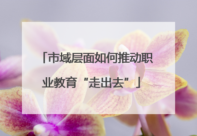 市域层面如何推动职业教育“走出去”