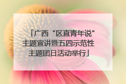 广西“区直青年说”主题宣讲暨五四示范性主题团日活动举行