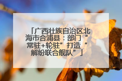 广西壮族自治区北海市合浦县：部门“常驻+轮驻”打造“解纷联合舰队”