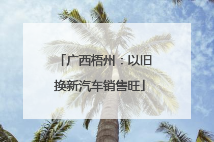 广西梧州：以旧换新汽车销售旺