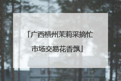 广西横州茉莉采摘忙 市场交易花香飘