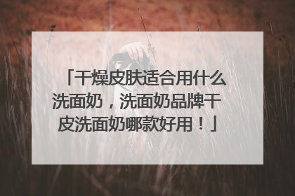 干燥皮肤适合用什么洗面奶，洗面奶品牌干皮洗面奶哪款好用！