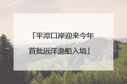 平潭口岸迎来今年首批远洋渔船入境