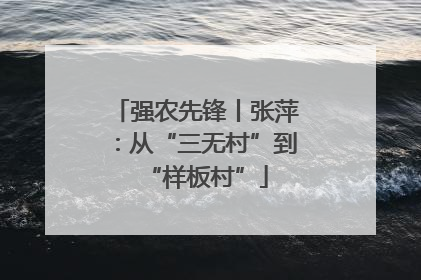 强农先锋丨张萍：从“三无村”到“样板村”