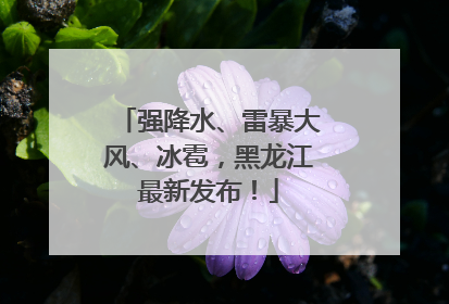 强降水、雷暴大风、冰雹，黑龙江最新发布！