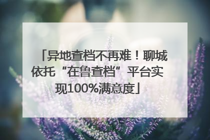 异地查档不再难！聊城依托“在鲁查档”平台实现100%满意度