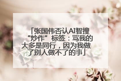 张国伟否认AI智搜“炒作”标签：骂我的大多是同行，因为我做了别人做不了的事