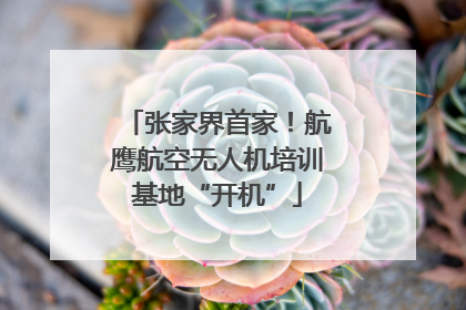 张家界首家！航鹰航空无人机培训基地“开机”