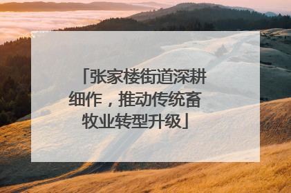 张家楼街道深耕细作，推动传统畜牧业转型升级