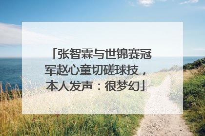 张智霖与世锦赛冠军赵心童切磋球技，本人发声：很梦幻