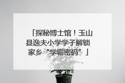 探秘博士馆！玉山县逸夫小学学子解锁家乡“学霸密码”