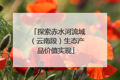 探索赤水河流域（云南段）生态产品价值实现