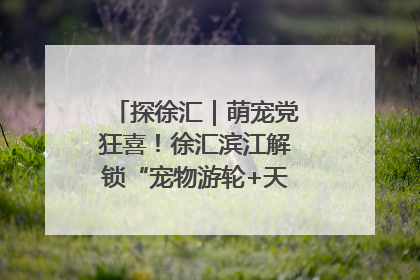 探徐汇｜萌宠党狂喜！徐汇滨江解锁“宠物游轮+天台乐园”双玩法