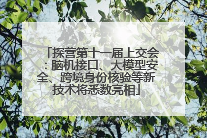 探营第十一届上交会：脑机接口、大模型安全、跨境身份核验等新技术将悉数亮相
