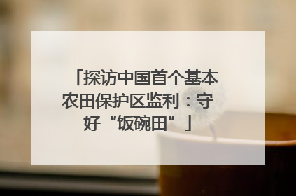 探访中国首个基本农田保护区监利：守好“饭碗田”