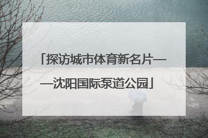 探访城市体育新名片——沈阳国际泵道公园