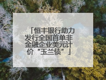 恒丰银行助力发行全国首单非金融企业美元计价“玉兰债”