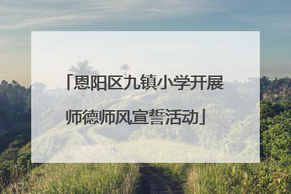 恩阳区九镇小学开展师德师风宣誓活动
