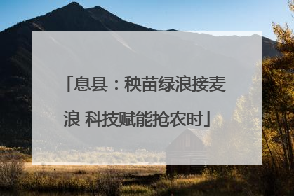 息县：秧苗绿浪接麦浪 科技赋能抢农时
