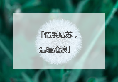 情系姑苏，温暖沧浪