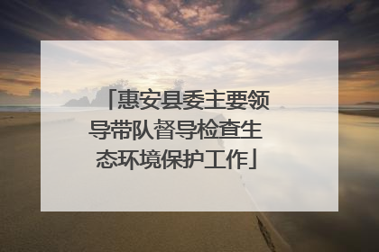 惠安县委主要领导带队督导检查生态环境保护工作