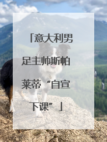意大利男足主帅斯帕莱蒂“自宣下课”