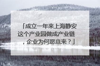 成立一年来上海静安这个产业园做成产业链，企业为何愿意来？
