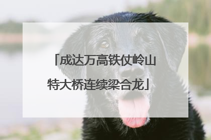 成达万高铁仗岭山特大桥连续梁合龙