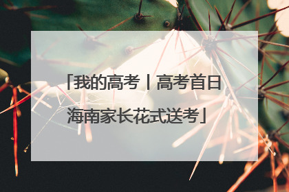 我的高考丨高考首日 海南家长花式送考