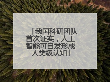 我国科研团队首次证实，人工智能可自发形成人类级认知