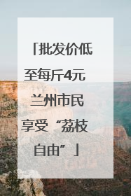 批发价低至每斤4元 兰州市民享受“荔枝自由”