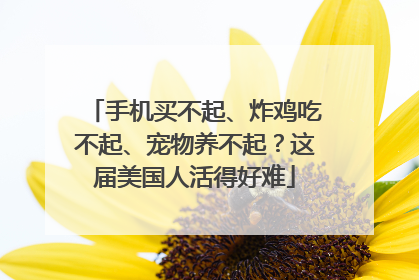 手机买不起、炸鸡吃不起、宠物养不起？这届美国人活得好难