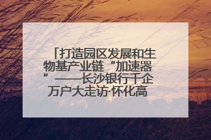 打造园区发展和生物基产业链“加速器”——长沙银行千企万户大走访·怀化高新区、生物基产业链专场活动举行