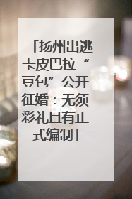 扬州出逃卡皮巴拉“豆包”公开征婚：无须彩礼且有正式编制