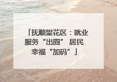 抚顺望花区：就业服务“出圈” 居民幸福“加码”