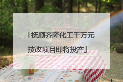 抚顺齐隆化工千万元技改项目即将投产