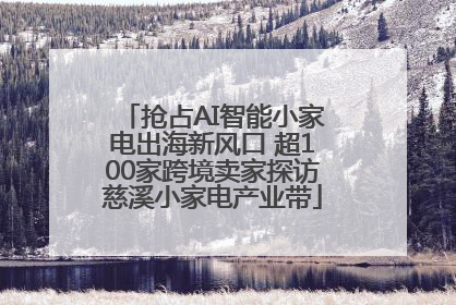 抢占AI智能小家电出海新风口 超100家跨境卖家探访慈溪小家电产业带