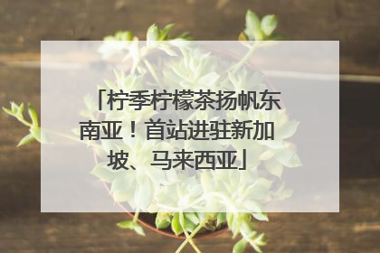 柠季柠檬茶扬帆东南亚！首站进驻新加坡、马来西亚