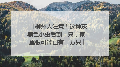 柳州人注意！这种灰黑色小虫看到一只，家里很可能已有一万只