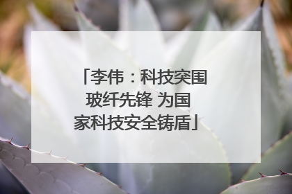 李伟：科技突围 玻纤先锋 为国家科技安全铸盾
