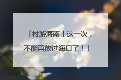 村游海南丨这一次，不能再放过海口了！