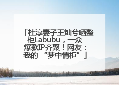 杜淳妻子王灿兮晒整柜Labubu，一众爆款IP齐聚！网友：我的 “梦中情柜”