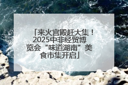 来火宫殿赶大集！2025中非经贸博览会“味道湖南”美食市集开启