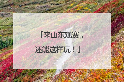 来山东观赛，还能这样玩！