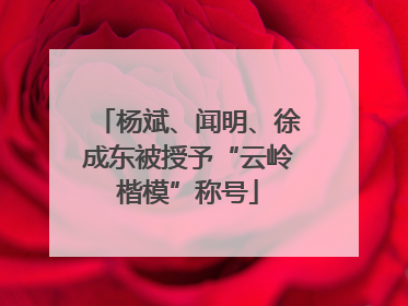 杨斌、闻明、徐成东被授予“云岭楷模”称号