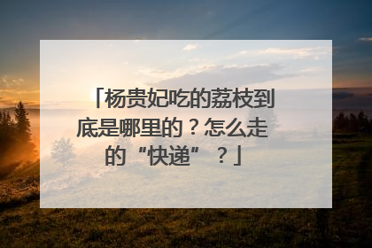 杨贵妃吃的荔枝到底是哪里的？怎么走的“快递”？